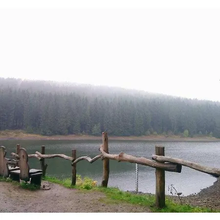 Happy Harz Comfortable Holiday Holiday home Goslar