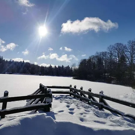 Holiday home Happy Harz Comfortable Holiday *