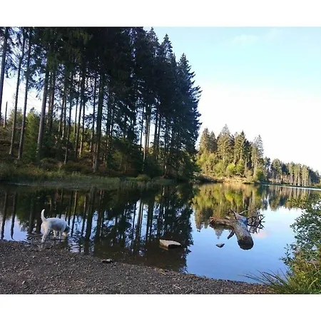 Happy Harz Comfortable Holiday *