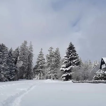 Happy Harz Comfortable Holiday * Goslar