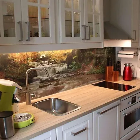 Happy Harz Comfortable Holiday Holiday home