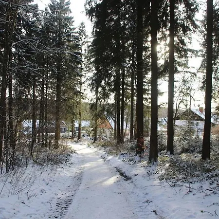 Holiday home Happy Harz Comfortable Holiday