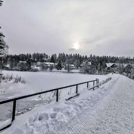Happy Harz Comfortable Holiday Holiday home