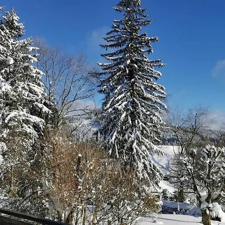 Holiday home Happy Harz Comfortable Holiday *