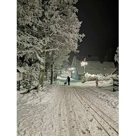 Happy Harz Comfortable Holiday Goslar